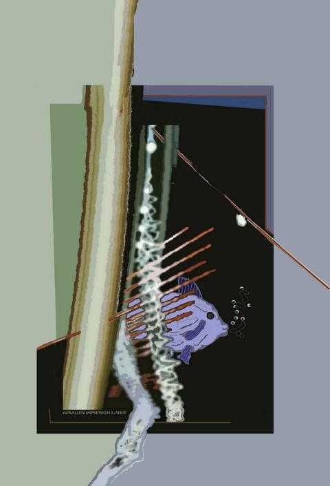 K640_0118-E-TF