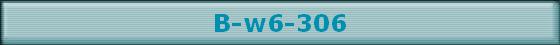 B-w6-306
